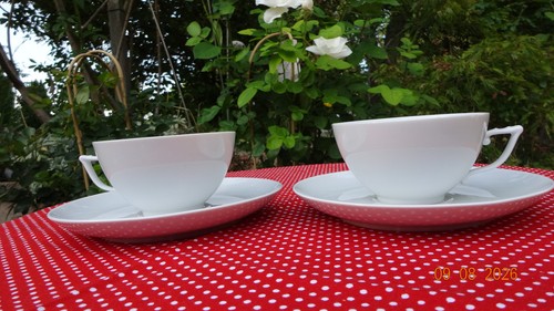 Meissen kaffeetassen mit - meissen,