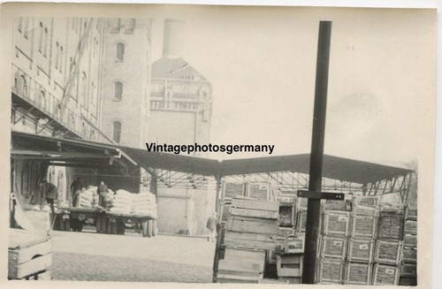 Z5989 foto 1943 berlin - foto,