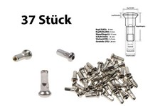 37 Stück Sapim Speichen Nippel Fahrrad Felge ROSTFREI 1,8mm x 12mm Messing