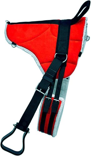 Pony bareback schabracke - pony,