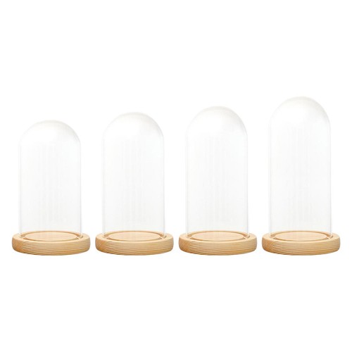 Glas cloche dome terrarium - cloche,