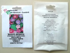 Trichterwinde Prunkwinde