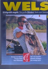 (b73475)   Blinker Wels