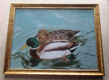 2 Enten schwimmen auf dem See