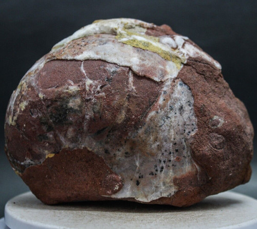 1224gr extrem selten ganzer - extrem,