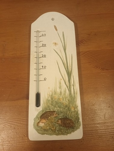 Landschaftsbild termometer vom - landschaftsbild,