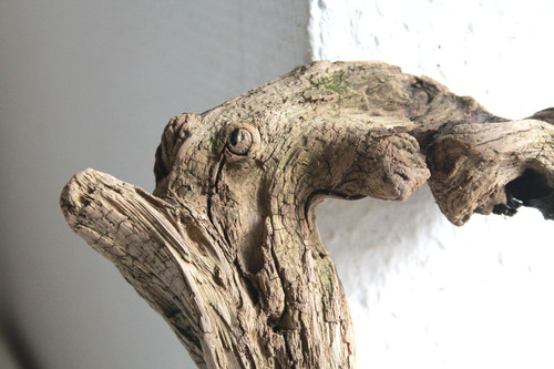Schwemmholz treibholz skulptur - schwemmholz,