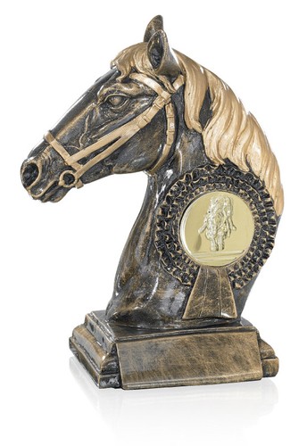 Pferd pferde reiten reitsport - pferde,