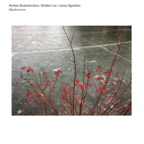 Norbert rodenkirchen robbie - norbert, rodenkirchen/robbie