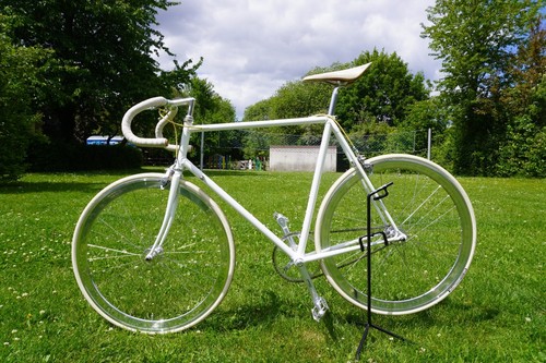 Gazelle race campagnolo - race,