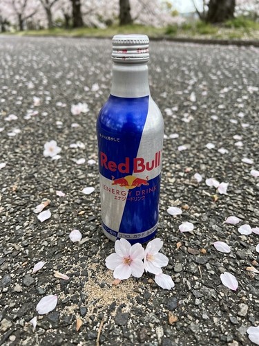 Red bull aluminium flasche - bull,
