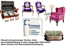 Phoenix-Enzymreiniger
