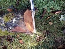 Birnenholz basteln Deko