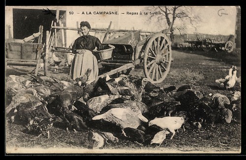 Campagne repas à la - a,