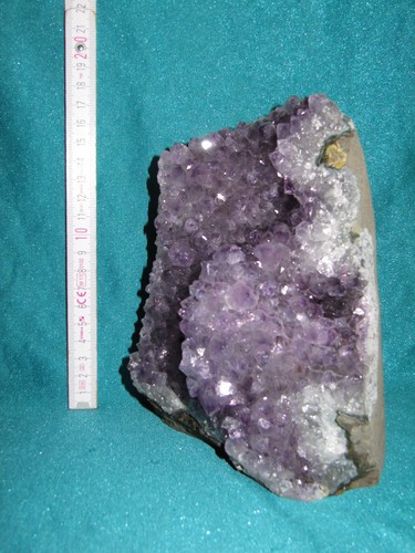Mineralien amethyst druse - 17, x