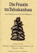 Die Praxis im Tabakanbau zum