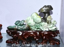 12,6'' chinesische natürliche