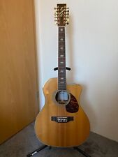 12-saiter Westerngitarre JRC12-40E Sigma