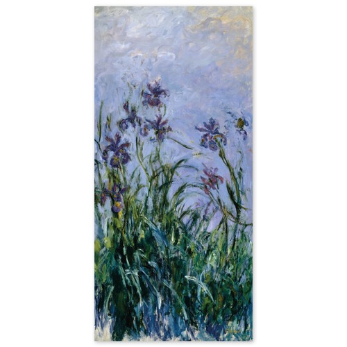 Claude monet iris poster - claude, iris,