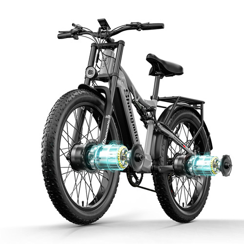 Dual motor 2000w - dual,
