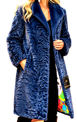 Blau gefärbter breitschwanz - ,