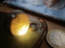 schöner versteinerter Seeigel