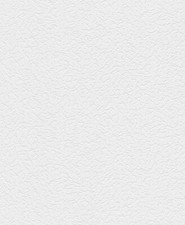 Erismann Vliestapete ModeRolle