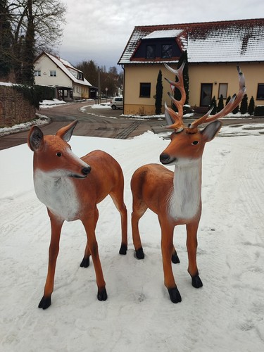 Hirsch und reh - reh, lebensgroß