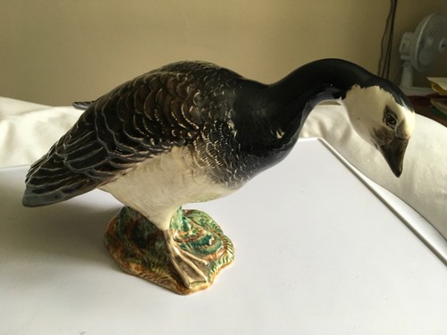 Seltene beswick barnacle goose - seltene,