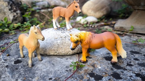 Pferde figuren von - figuren, schleich