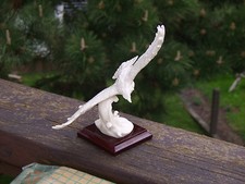 Jagd Jäger Raubvogel  G