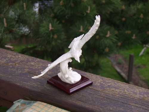 Jagd jäger raubvogel g - ,