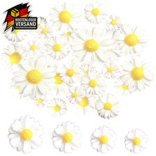 Mini Gänseblümchen Deko