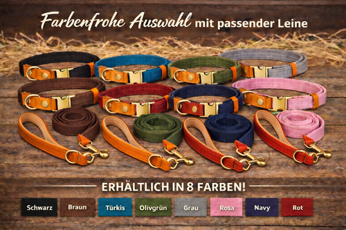 Hochwertiges hundehalsband mit - hochwertiges,