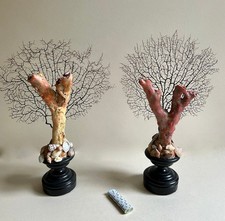 Kunstkammerobjekt hoch - kunstkammerobjekt, cm