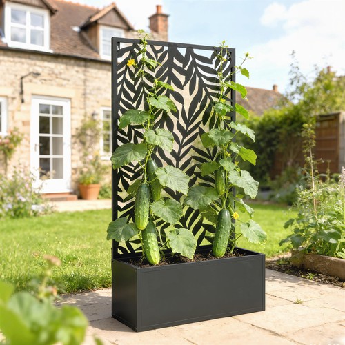Blumenkasten mit sichtschutz - blumenkasten,