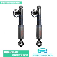 2xHinten Federbein 13198717