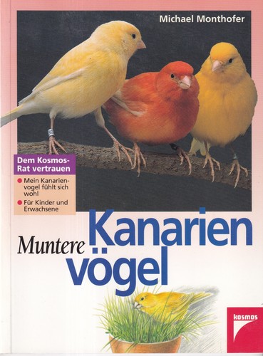 Muntere kanarienvögel - muntere,
