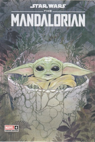 Star wars the mandalorian - the,