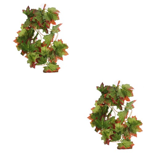 Set terrarienpflanzen - of, 2
