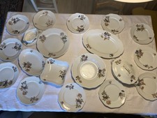 25 Teile Rosenthal Speiseservice für 12 Personen - Design Maria Sommerstrauss