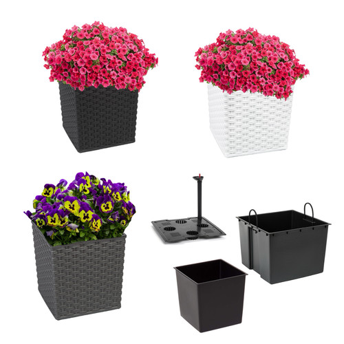 Blumentopf mit ohne - blumentopf, mit/ohne