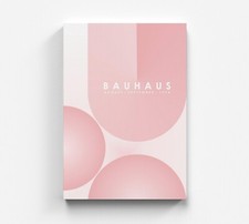 Bauhaus Abstract Rosa