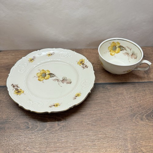 Schirnding bavaria tasse - tasse, &