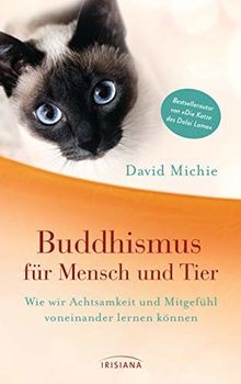 Buddhismus für mensch - buddhismus,