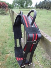 Voltigiergurt /Reithilfe mit