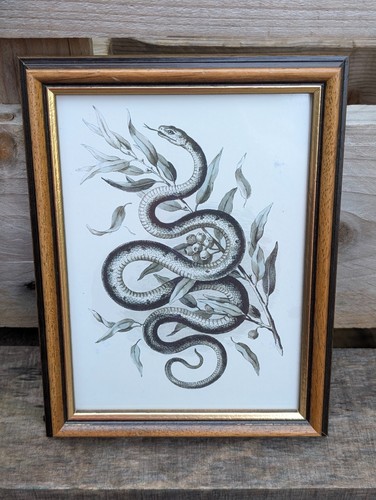 Schlangen illustration - schlangen, im