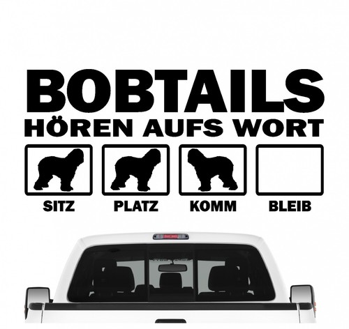 Bobtail old english - bobtail,