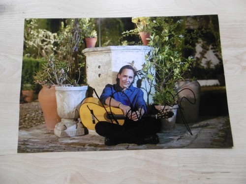 Vicente amigo flamenco - vicente,