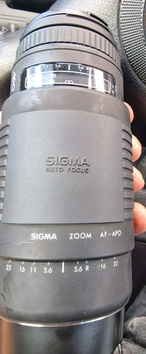 Sigma zoomobjektiv apo - zoomobjektiv, af-apo